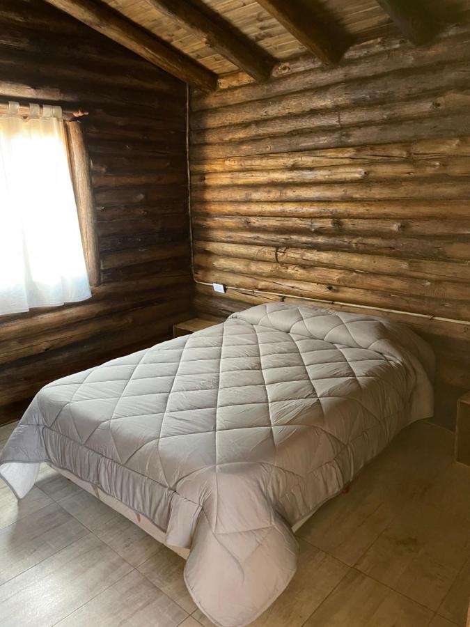 Cabanas Naol Uspallata Kültér fotó